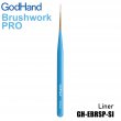 GODGH-EBRSP-SI - GodHand GodHand - Brushwork PRO Liner
