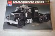 AMT8137 - AMT 1/25 Diamond REO